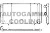 AUTOGAMMA 100863 Radiator, engine cooling